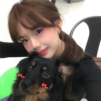 驯龙记：伯克岛的守护者第二季